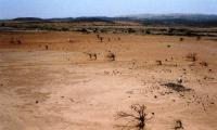 A long period of drought causes accelerated soil erosion and, consequently desertification.  © FAO/ F. Paladini