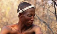 San man. Between 27,000 and 36,000  San people in Namibia, living mostly in the north and east of the country.   Photo PH