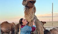 Kazakhstan. A woman holding onto a camel. FAO