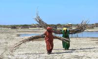 Ethiopia - Pastoralist women carrying a banded wood used to build their houses. © FAO/Michael Tewelde