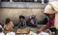 Ethiopia. Women select coffee beans in the area of Merkato, in Addis Ababa. © FAO/Eduardo Soteras