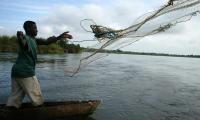 Mali. Artisan fishing near Tombouctou, just upstream of a fish barrier set up on an arm of the Niger River.  © J.C. Henry