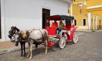 Horse-drawn carriages serving as local taxis. File swm