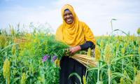 Women farmers represent 39 % of the global agricultural workforce. Photo FAO