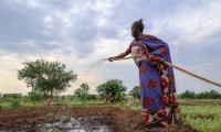 Women leading the fight against hunger all over the world. Photo FAO