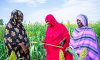 Investing in women farmers strengthens food security. Photo FAO