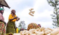 Women farmers are not considered in decision-making processes and struggle to access credit or financial services. Photo FAO