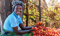 When women lead, communities gain.  Photo FAO