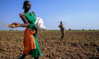Women farmers face persistent barriers women face across agrifood systems - including unequal access to land, information and social protection. Photo: FAO