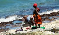 Women cleaning fish. They are the lifeblood of Mozambique Island’s economy.