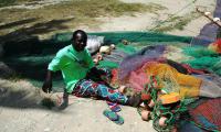 A fisherman used to say “Something new may always arrive from the sea…”