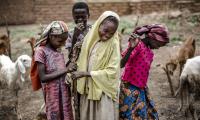 A group of young girls and a boy smile while playing with goats. © FAO/Luis Tato