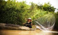 A woman casting a fishing net from a boat on the Tonle Sap River.  FAO