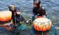 The historic tradition of Jeju Island: the haenyeo, or “women of the sea”. Photo: FAO/David Hogsholt
