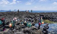 The Jeju divers have a place in Korean history for what they have represented for Korean women. Photo: FAO/David Hogsholt