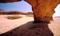 “In the empire of desert, water is the king and shadow is the queen.” (Mehmet Murat Ildan) Photo SWM Archive