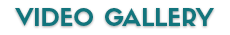 Video Gallery