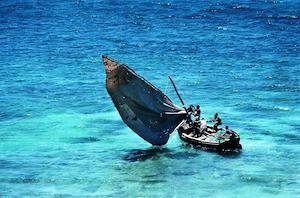 A Coral Reef, Mozambique Island