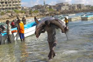 Somalia. Daily life in Mogadishu