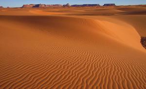 The Magic of the Desert
