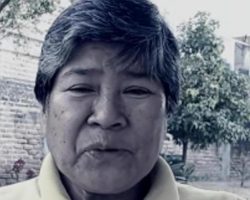 witness-aprile-2026-005